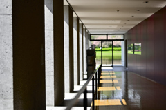 溢れる光の中で