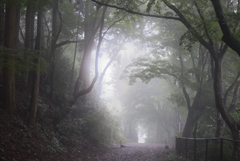 霧の山路を往く