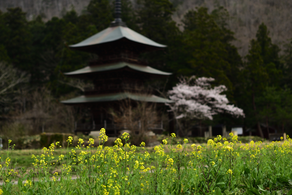 遷ろい易きは春の色