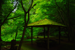 東屋