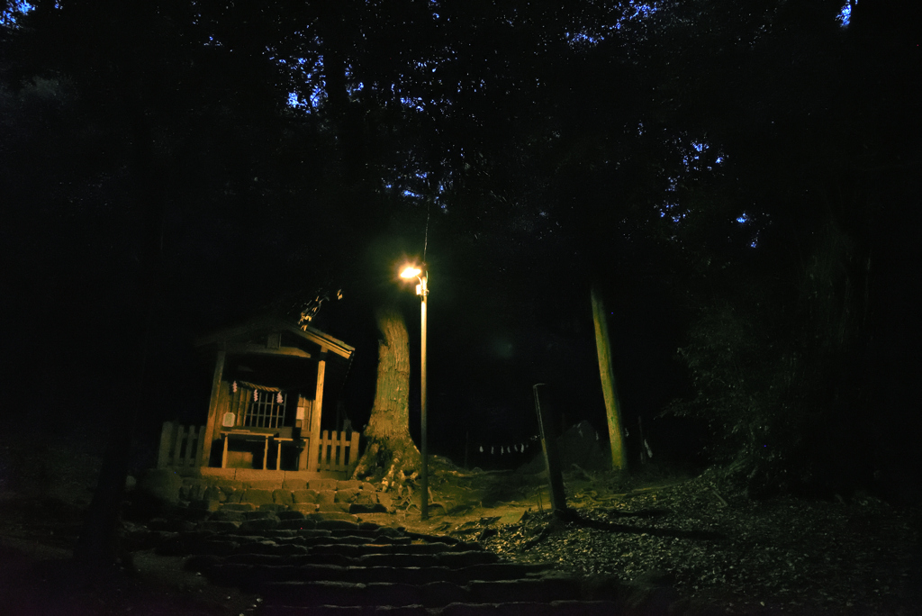 夜の神社