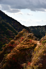 尾根