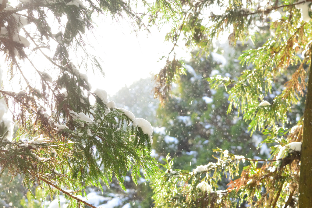 ぬくもりのひと時