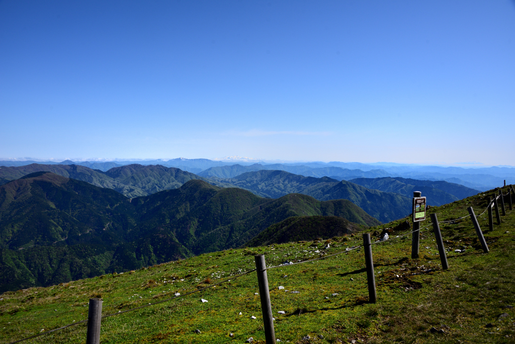 山頂からの景色