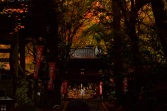 龍蔵寺