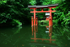 神集う池