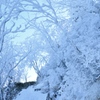 雪道歩く