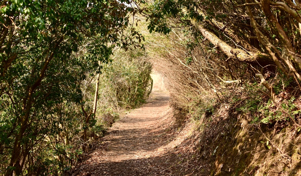 トンネルを抜けると