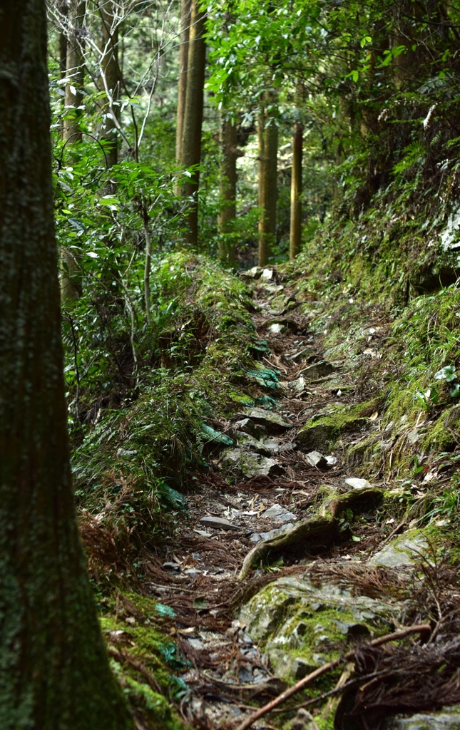 山歩き