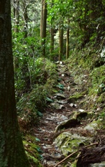 山歩き