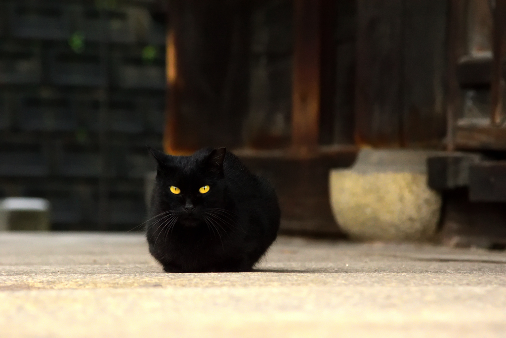 まっすぐな瞳