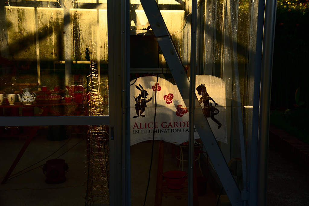 ALICE GARDEN