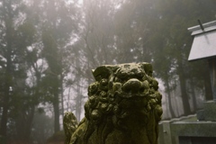 霧の狛さん