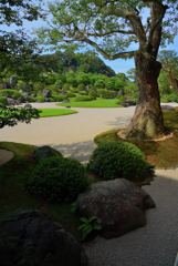庭園