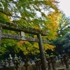 石鳥居
