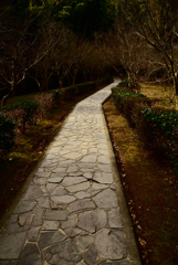 石道