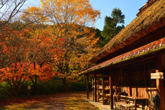 山村