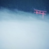 雲海鳥居