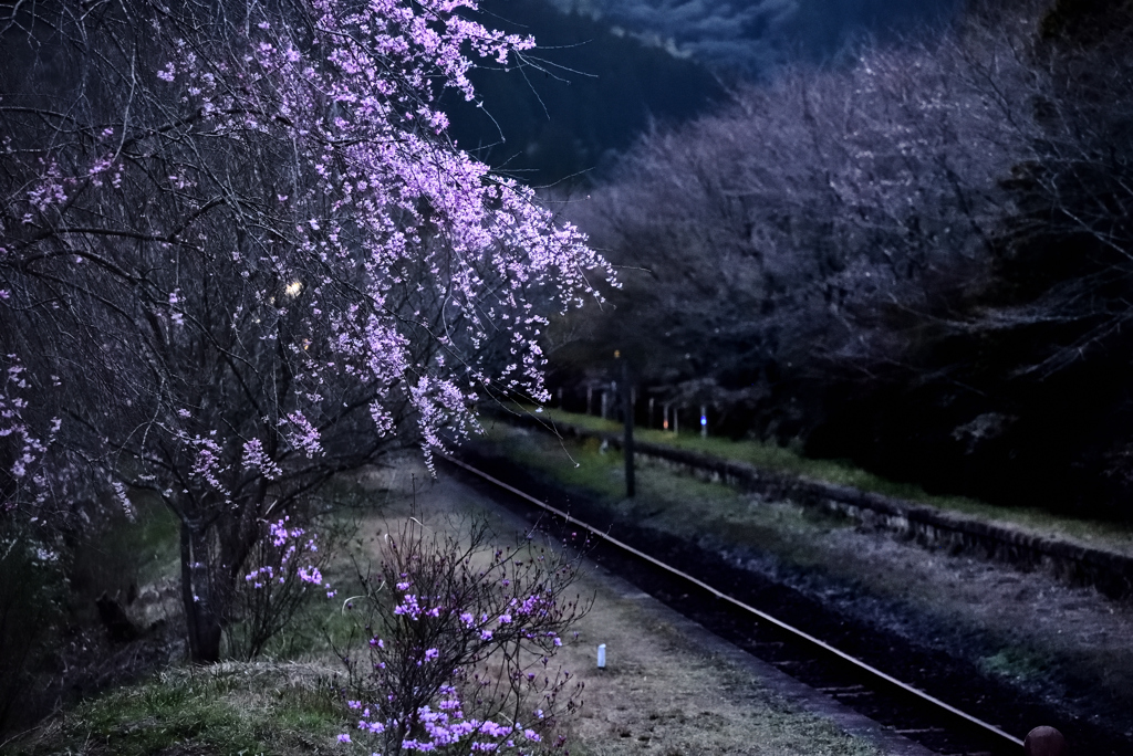 線路沿い