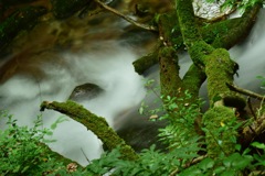 山散歩 2