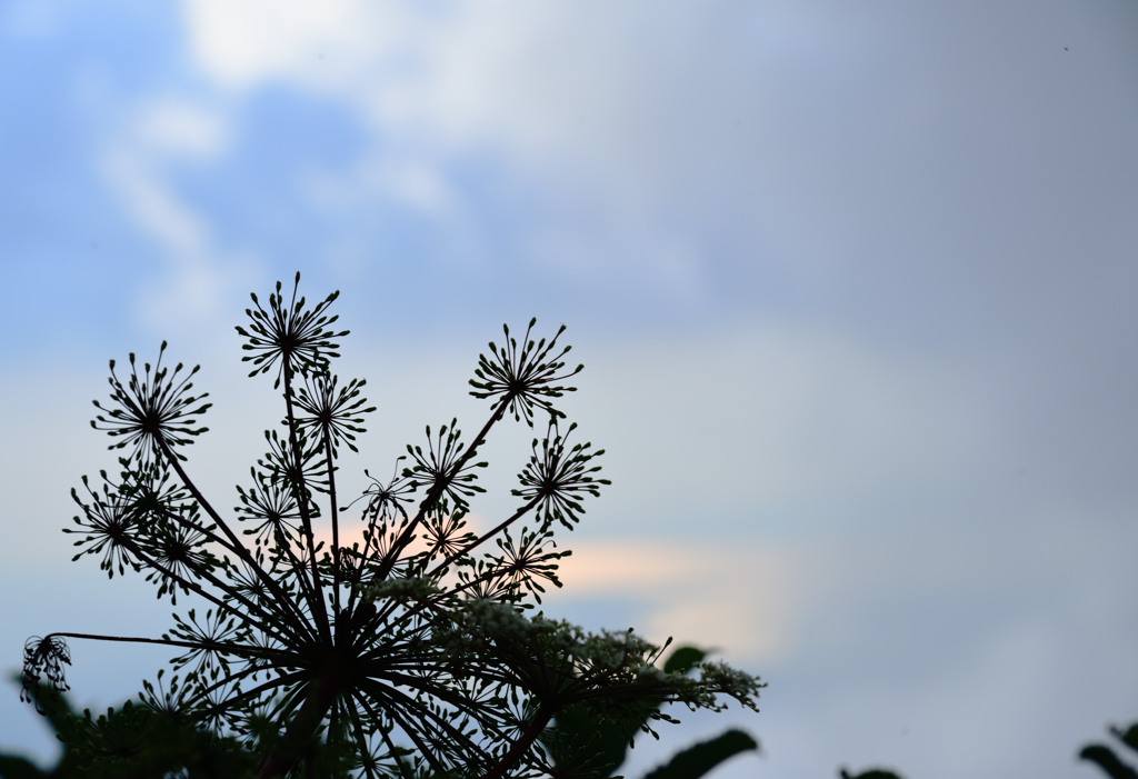 花火のように