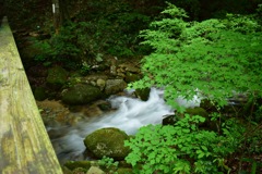 寂地峡にて  5