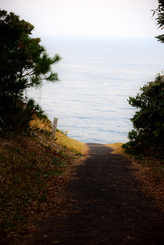 海へ続く道