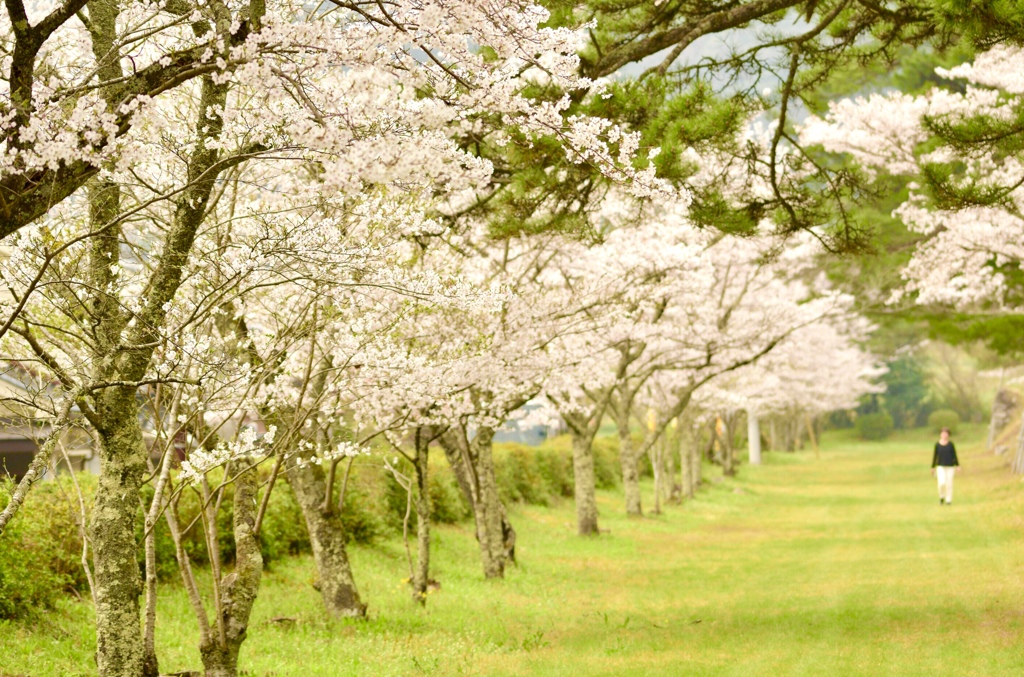 鷲原公園にて