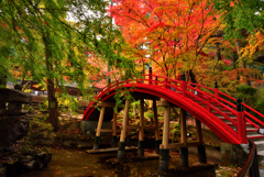 朱橋