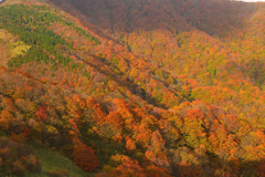 染まる山