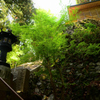 山寺