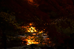 夕暮れ
