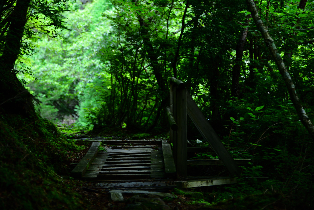 橋