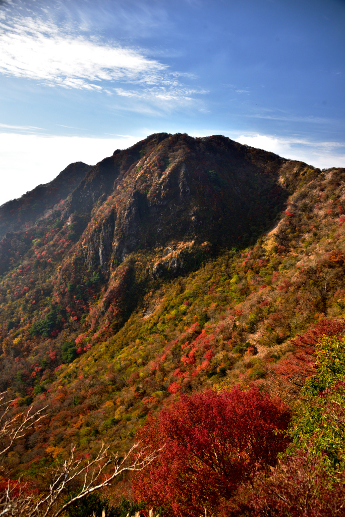 染まる山