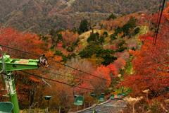 リフターより