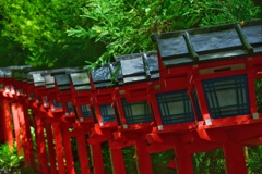映える