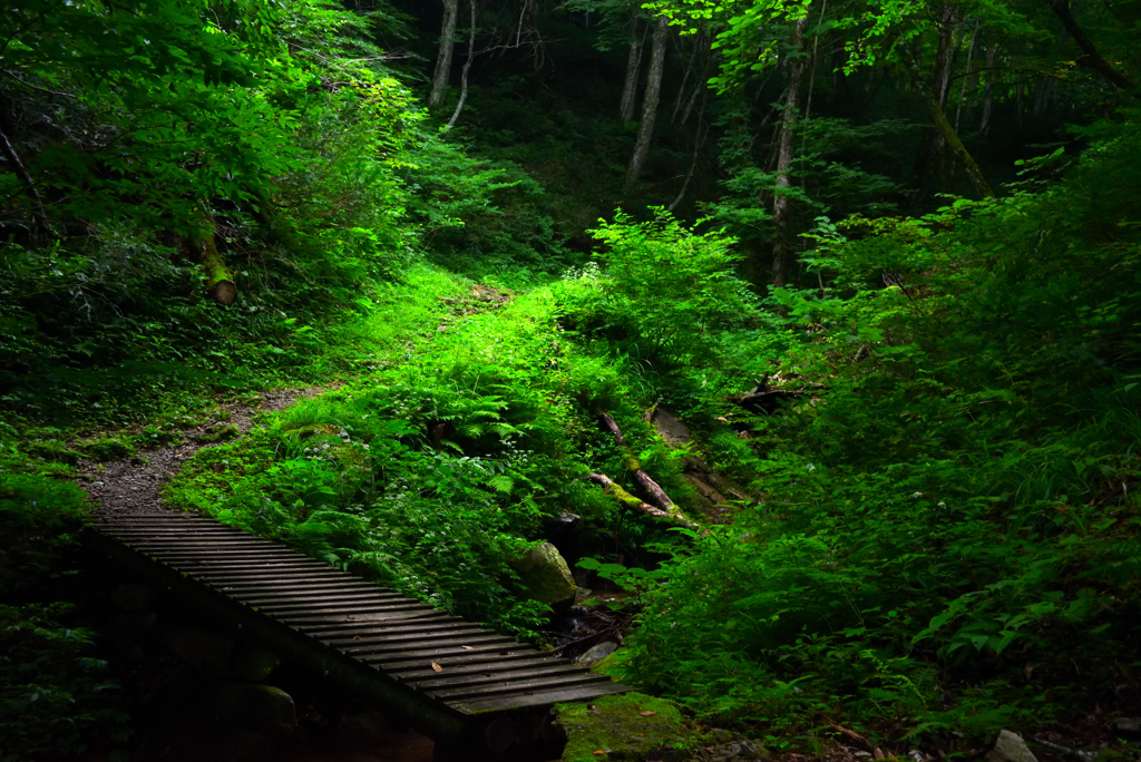 木の橋