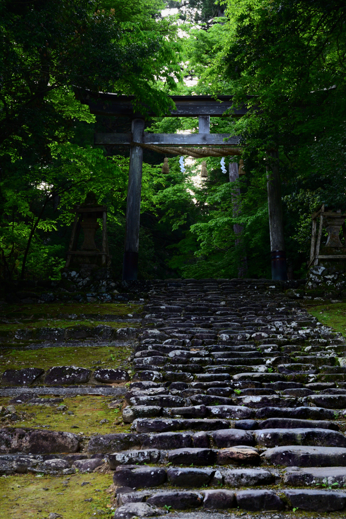 鳥居