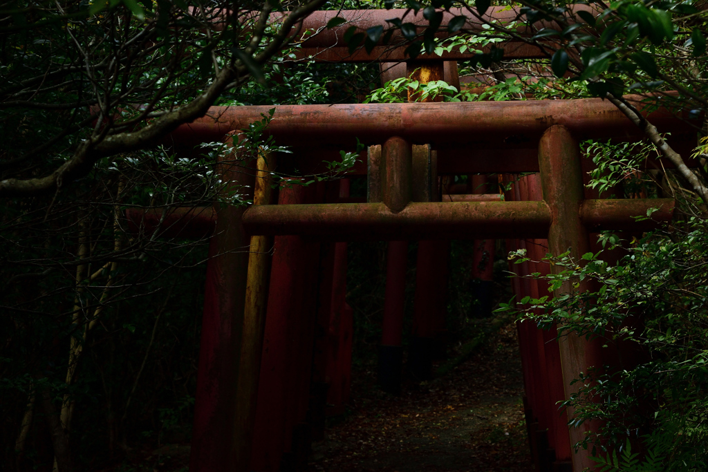 鳥居