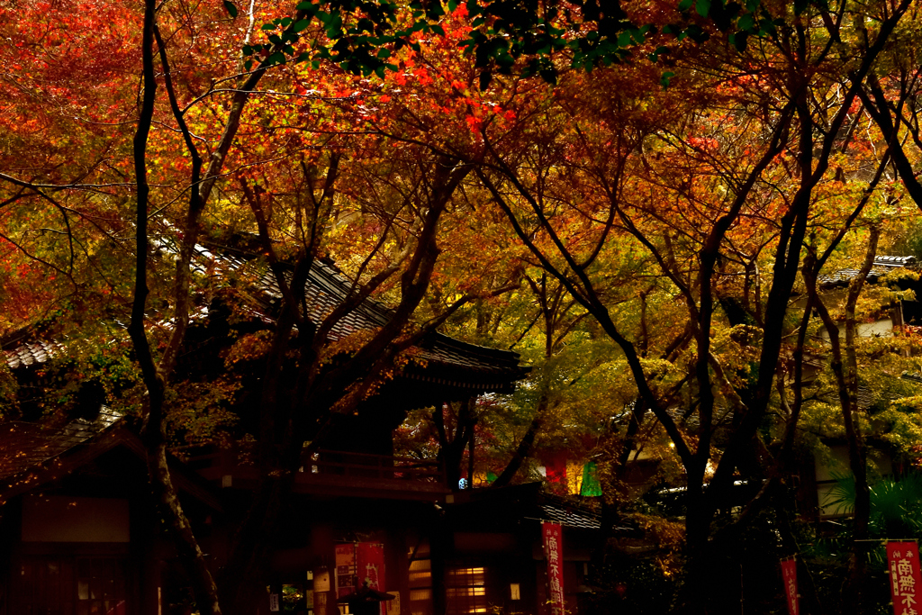 秋寺
