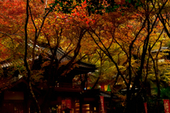 秋寺