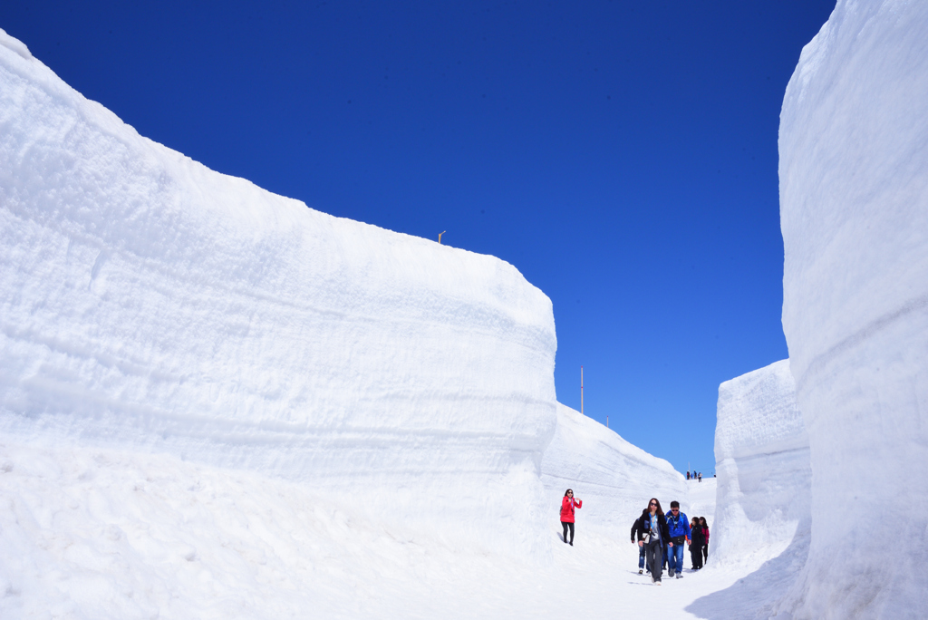 雪の回廊