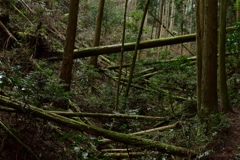 阻む