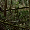 阻む