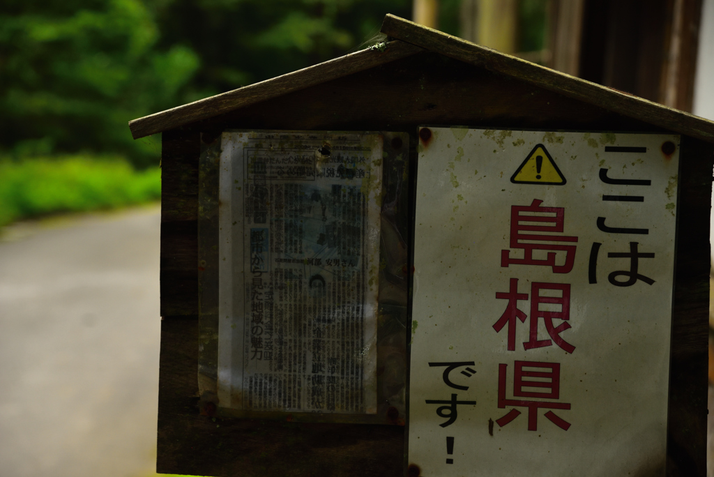 主張