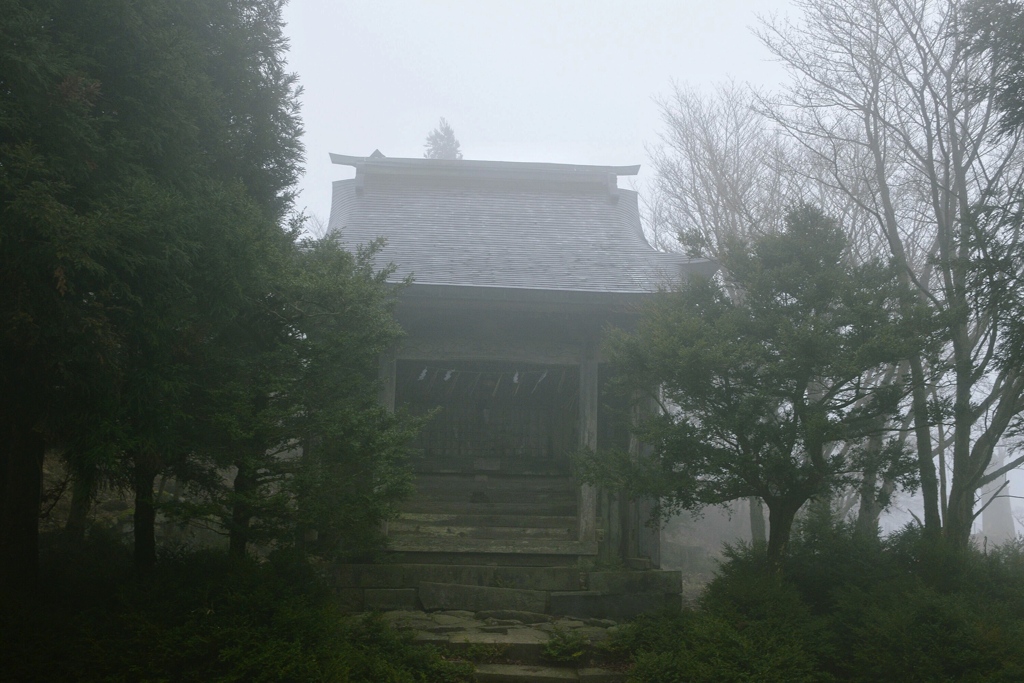 社