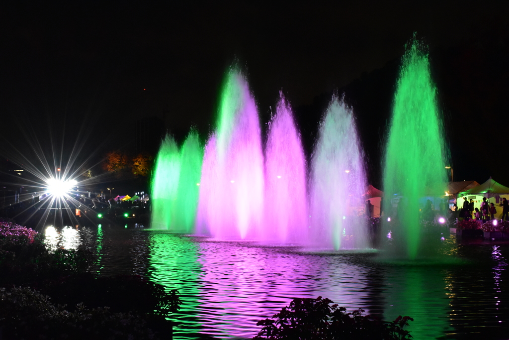 上野公園の噴水ライトアップ