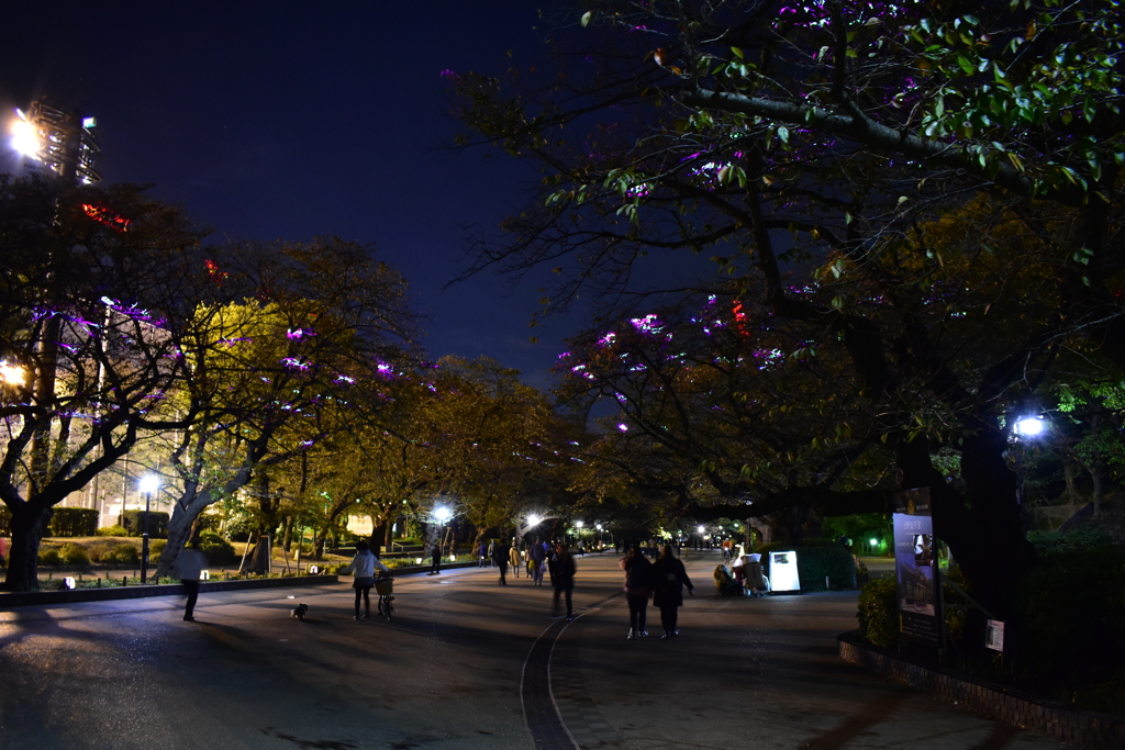 上野公園　創エネ・あかりパーク2018