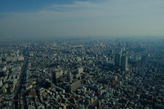 東京
