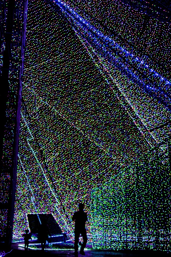 IMG_3873